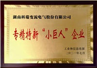 公司獲評國家級專(zhuān)精特新“小巨人”企業(yè)