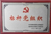 公司黨支部獲“湖南省兩新領(lǐng)域標桿黨組織”榮譽(yù)稱(chēng)號