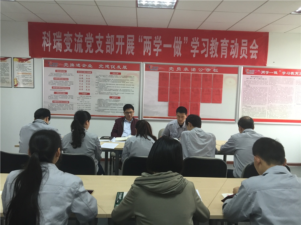 公司黨支部全面安排部署黨員“兩學(xué)一做”學(xué)習教育工作