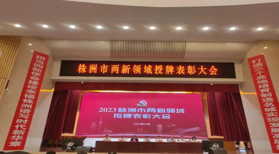 公司董事長(cháng)丁勁松先生獲評株洲市2023年兩新領(lǐng)域支持黨建工作優(yōu)秀企業(yè)家